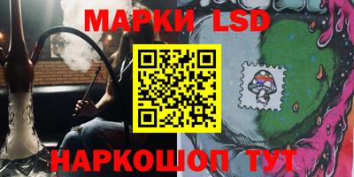 гидропоника Пушкино