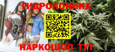 гидропоника Пушкино