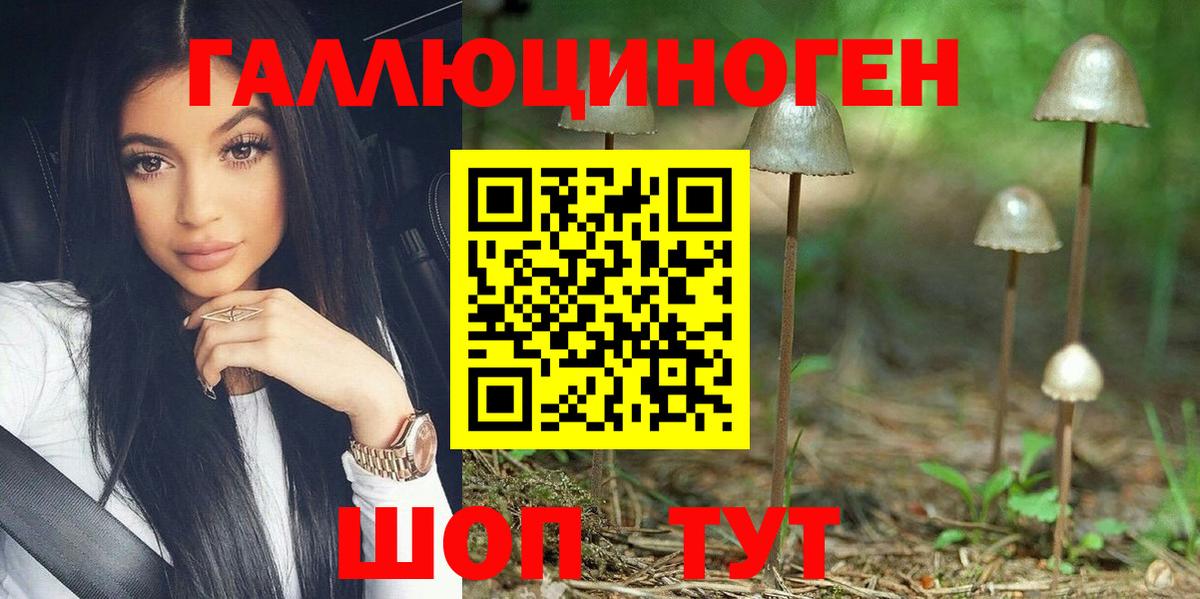 купить наркотики сайты  Псилоцибиновые грибы MAGIC MUSHROOMS  Вход с VPN  Новотроицк 