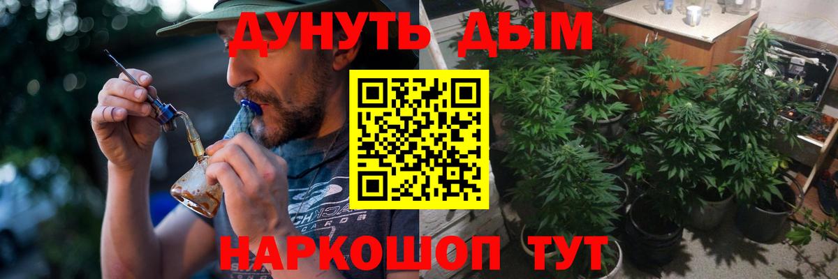 Марихуана план Новотроицк